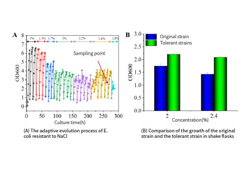 EVOL cell promotes adaptive evolution of Escherichia coli resistant to high osmotic pressure 